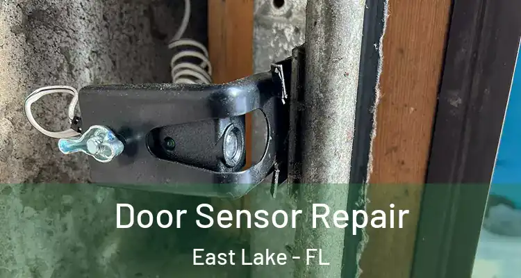  Door Sensor Repair East Lake - FL