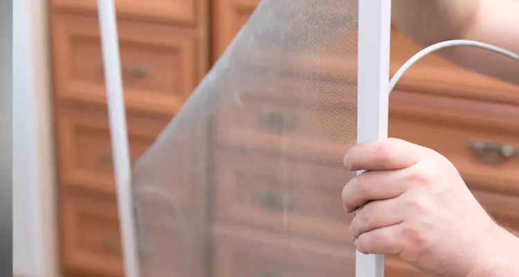 Privacy Mesh Screen Door Installation in East Lake, FL