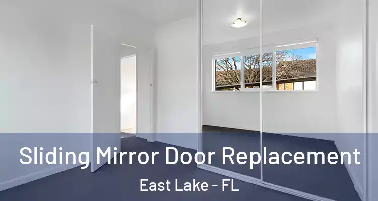  Sliding Mirror Door Replacement East Lake - FL
