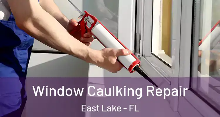  Window Caulking Repair East Lake - FL